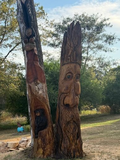Large sycamore tree on site carving. 