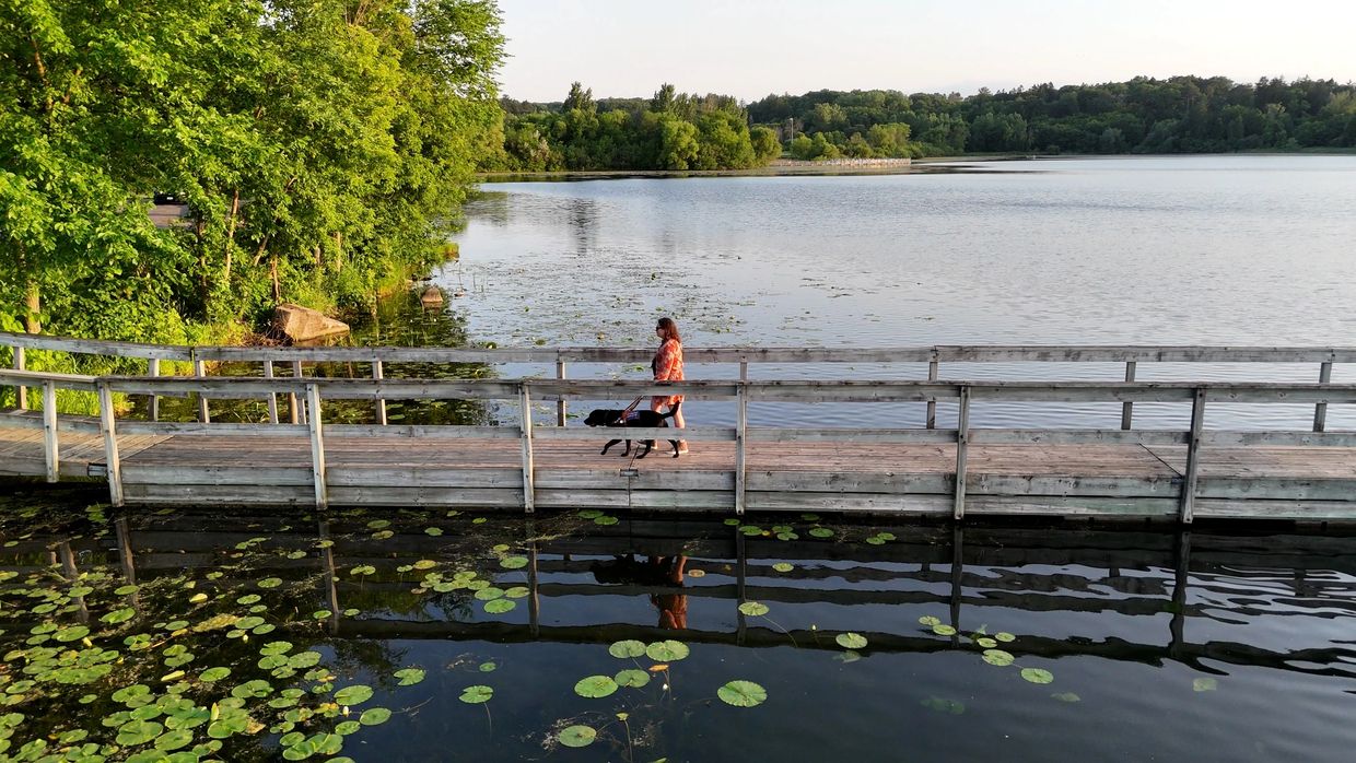 An overhead view of Staci walking with guide dog Billy along a bridge overlooking a lake. 