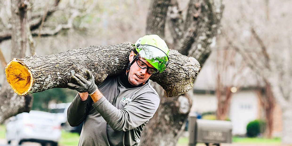 Emergency tree service Austin, TX