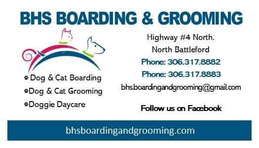 Grooming and boarding discount