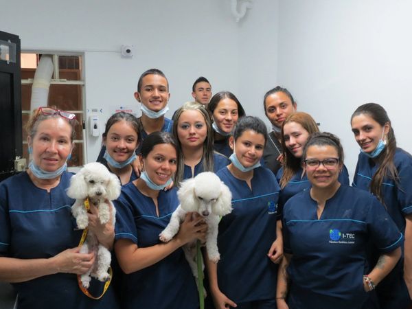 Estudiantes Fundación Politécnica I-TEC
politécnico i-tec peluquería canina Medellín