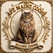 APZ Maine Coons