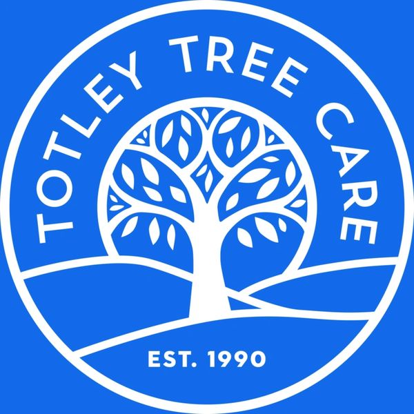 Totley Tree Care logo with tree and establishment year.