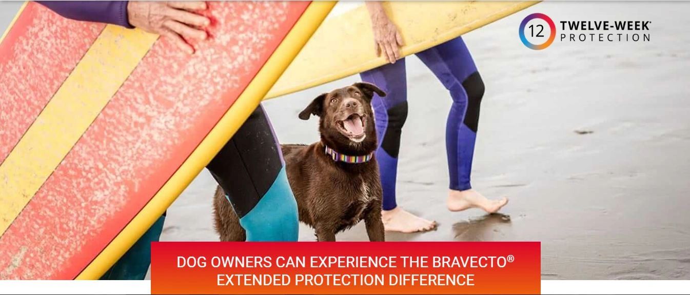 where can i buy shots for dogs