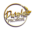 Purple Promise llc.