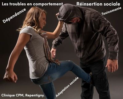 Thérapie individuelle Gestion de la colère Contexte personnel, judiciaire, organisationnel et autres