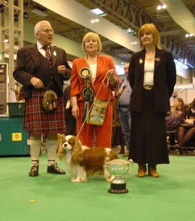 Keyingham Branwell March 2006 Crufts winner and ancestor to many Evera dog.
photo credit: cavaliers.