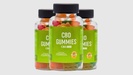 Bliss Bites CBD Gummies SCAM EXPOSED By People!