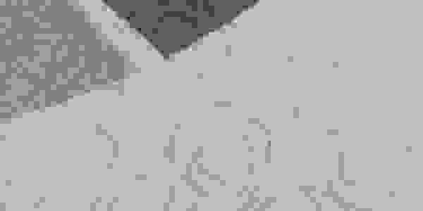 image2543