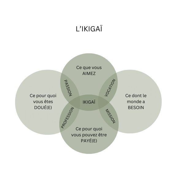 vision chez ma maison Ikigaï, inspirée du diagramme de Venn représentant le proverbe japonais Ikigaï