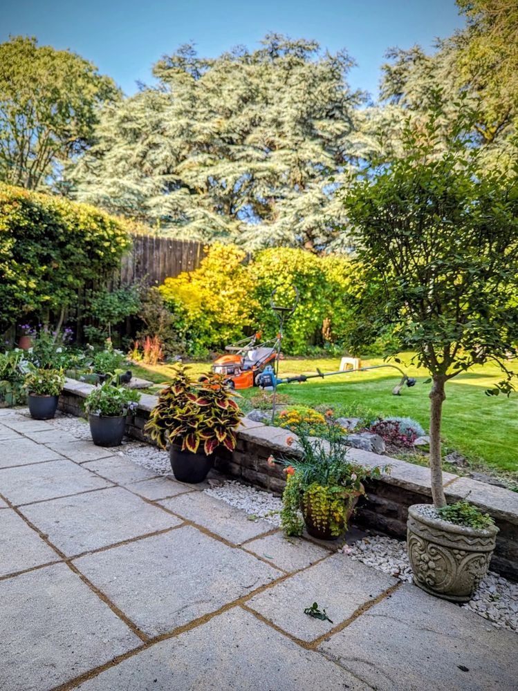 A beautiful pocket garden backed on by a playing field surrounded by beautiful trees 