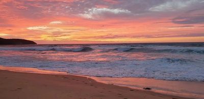 Morning – Susan’s Succulents
Afternoon – Coastal Walks & Coffee
Evening - Fine Dining or picnic 
