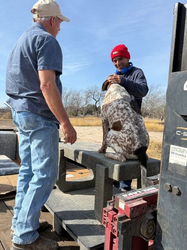 Two men interacting with a dog sitting on a bench outdoors.