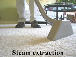 Carpet Cleaning