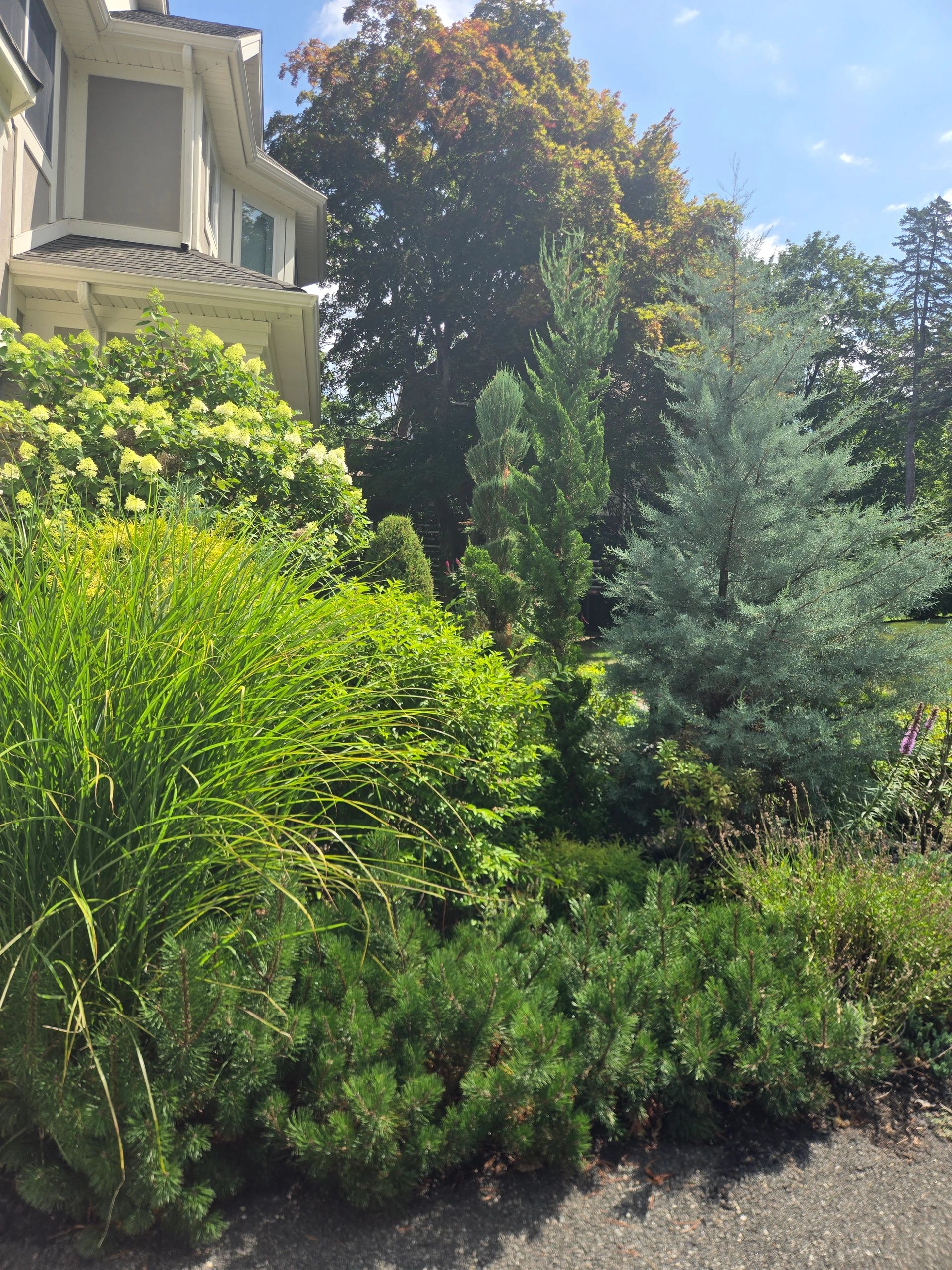 CLEAR VIEW LANDSCAPING & DESIGN LLC logo
