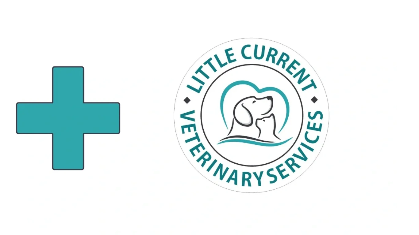 Contact Us Island Animal Hospital