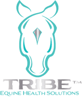Tribe Equine Solutions