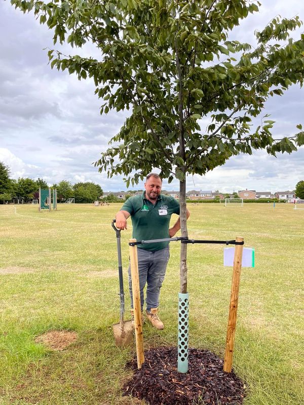 Man posing with freshly planted tree in a park, holding a shovel.