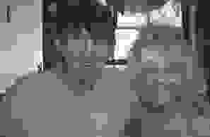 Obituaries | Baker Funeral Home