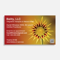 Bality LLC.services