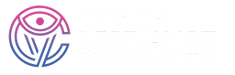 CyberVigilance LLC