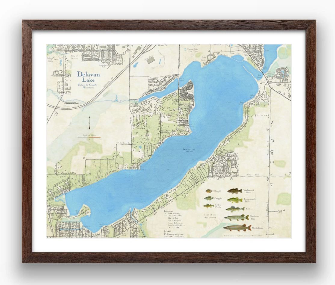 New Delavan Lake map is published!