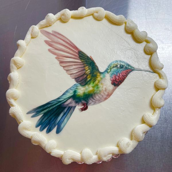 Hummingbird on a cake