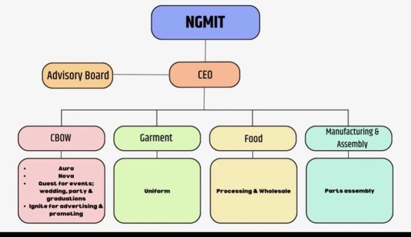 Organizational chart of NGMIT with CEO overseeing multiple departments.