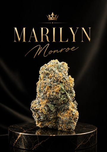 Close-up of a cannabis bud labeled Marilyn Monroe on a black marble pedestal.