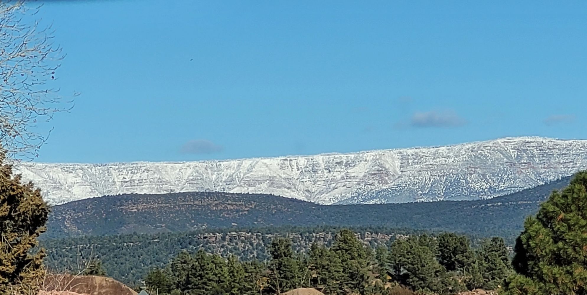 Snow-capped mountain range with green forest under a clear blue sky.