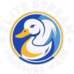 Elite Stream Pressure Wash