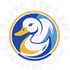 Elite Stream Pressure Wash