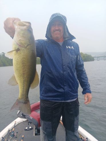 Chickamauga lake bass guide