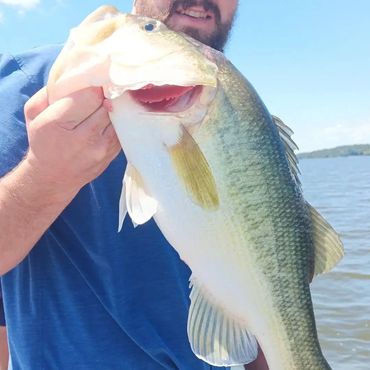 Chickamauga lake bass fishing guide