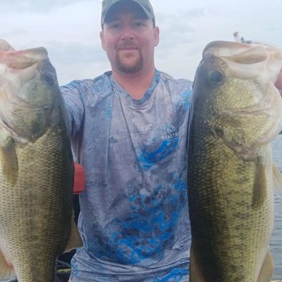 Chickamauga lake bass