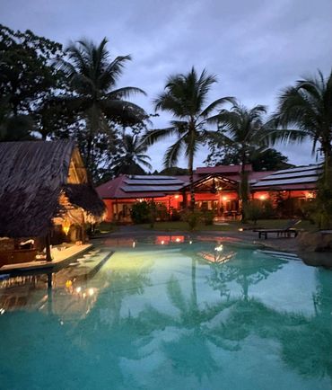 Tropical evening view of a lit pool and palm trees at a resort.
