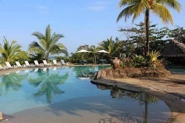 Tropical swimming pool with palm trees and lounge chairs under sunny sky.