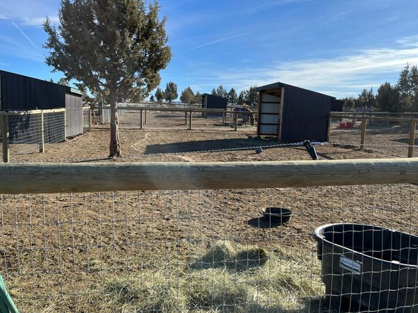 Dry lot with shelter and water.