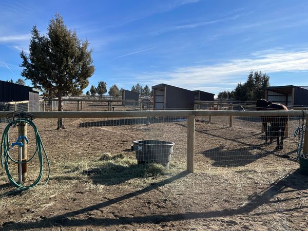 Dry lot with shelter and water.