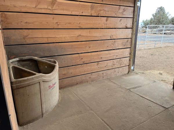 Airbnb stall and paddock.