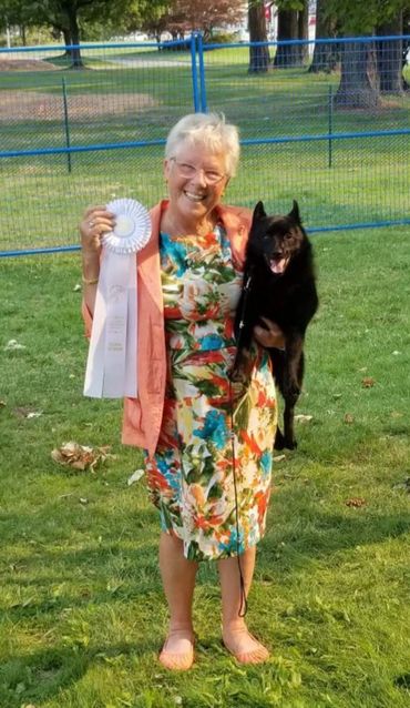  top schipperke in canada 