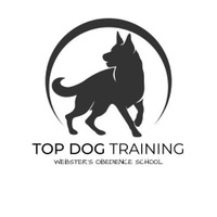 Top Dog Training