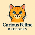 CURIOUS FELINE BREEDERS