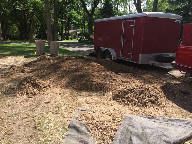 Can I use wood chips around trees after stump grinding?