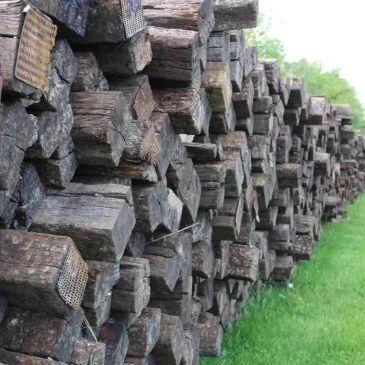 Close picture of wood