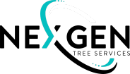 NeXgen Resources