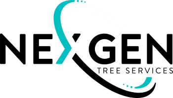 NeXgen Resources