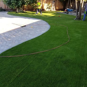 Artificial Grass