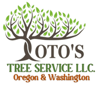 Toto's Tree Service, LLC