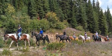 Group of people horseback riding on a trail through a forested area.